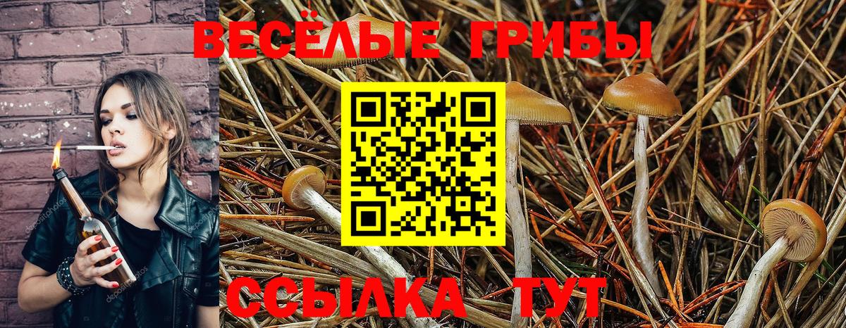 Псилоцибиновые грибы мухоморы  Вход с VPN  Аксай 